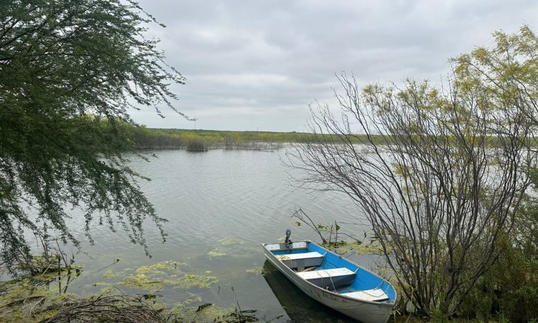 Suman 3 muertes por ahogamiento estas vacaciones en Nuevo León