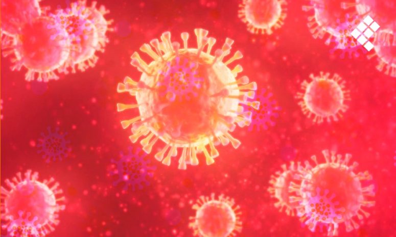 Lanzan alerta por brote de gripe aviar detectada en Nuevo León