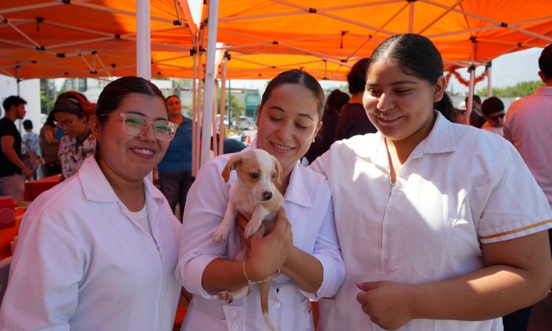 Llama Secretaría de Salud a reforzar vacunación antirrábica de perros y gatos