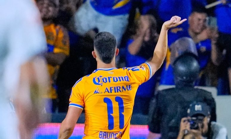 Tigres vuelve al triunfo y derrota 1-0 al Puebla