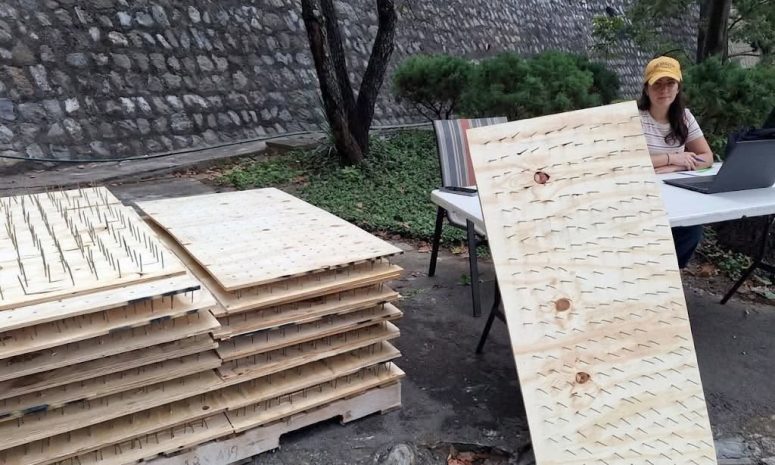Denuncian ante PROFEPA tablas con clavos para impedir paso de osos en San Pedro