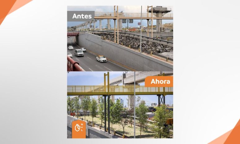 Bosques Ciudadanos suma más de 1.1 millones de árboles plantados en Nuevo León